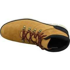 Brīvā laika apavi vīriešiem Timberland Bradstreet Hiker M A26YZ cena un informācija | Timberland Vīriešu apavi | 220.lv