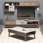 Dzīvojamās istabas mēbeļu komplekts Kalune Design 845(XVI), brūns cena un informācija | Sekcijas | 220.lv