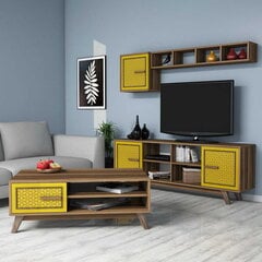 Dzīvojamās istabas mēbeļu komplekts Kalune Design 845(XXI), brūns cena un informācija | Sekcijas | 220.lv