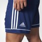 Vīriešu šorti Adidas Squadra 17, zili цена и информация | Zēnu šorti | 220.lv