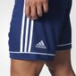 Vīriešu šorti Adidas Squadra 17, zili cena un informācija | Zēnu šorti | 220.lv