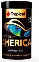 Barība visēdāju un gaļēdāju Amerikas zivīm Soft Line America S, 250 ml cena un informācija | Zivju barība | 220.lv