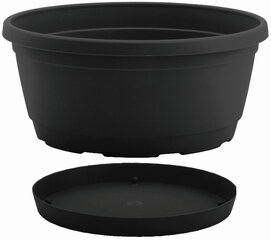 Nicoli чаша с тарелкой Rumba 18, антрацит цена и информация | Ящики для рассады | 220.lv