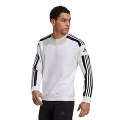 Vīriešu jaka Adidas Squadra 21 Sweat Top, M GT6641, balta cena un informācija | Sporta apģērbs vīriešiem | 220.lv