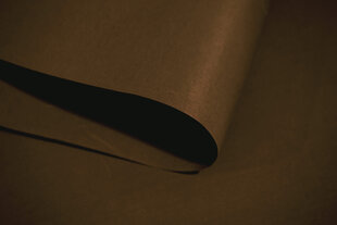 Ролет Mini Decor D 21 КОРИЧНЕВЫЙ, 47x150 см цена и информация | Рулонные шторы | 220.lv