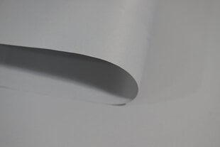 Ролет Mini Decor D 22 СЕРЫЙ, 62x150 см цена и информация | Рулонные шторы | 220.lv