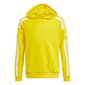 Bērnu džemperis Adidas Squadra 21 Hoody Youth Jr, GP6431, dzeltens cena un informācija | Zēnu jakas, džemperi, žaketes, vestes | 220.lv