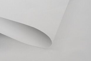 Мини-ролет с механизмом натяжения и 100% затемняющим материалом 95x150 см, серый цена и информация | Рулонные шторы | 220.lv