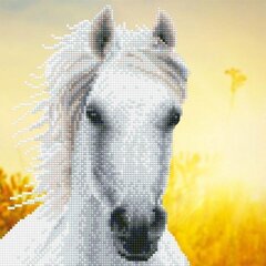 Dimantu mozaīka White Horse, 30 x 30 cena un informācija | Dimantu mozaīkas | 220.lv