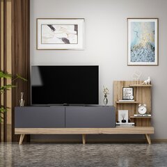 TV galdiņš Kalune Design 382, 180 cm, pelēks/brūns цена и информация | Тумбы под телевизор | 220.lv