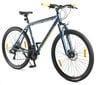 Kalnu velosipēds, Roy Roxter Blue 29" цена и информация | Velosipēdi | 220.lv
