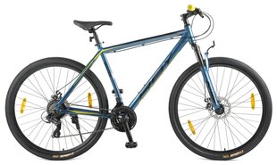 Kalnu velosipēds, Roy Roxter Blue 29" cena un informācija | Velosipēdi | 220.lv