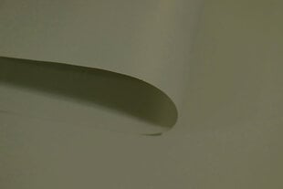 Ролет Mini Decor D 25 СЕРЫЙ, 90x150 см цена и информация | Рулонные шторы | 220.lv