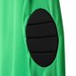 Džemperis zēniem Adidas Assita 17 Jr A-5406, zaļš цена и информация | Zēnu jakas, džemperi, žaketes, vestes | 220.lv