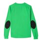 Džemperis zēniem Adidas Assita 17 Jr A-5406, zaļš цена и информация | Zēnu jakas, džemperi, žaketes, vestes | 220.lv