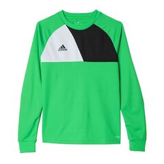 Джемпер для мальчиков Adidas Assita 17 Jr A-5406, зеленый цена и информация | Свитеры, жилетки, пиджаки для мальчиков | 220.lv