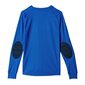 Džemperis zēniem Adidas Assita 17 Jr AZ5404, zils цена и информация | Zēnu jakas, džemperi, žaketes, vestes | 220.lv