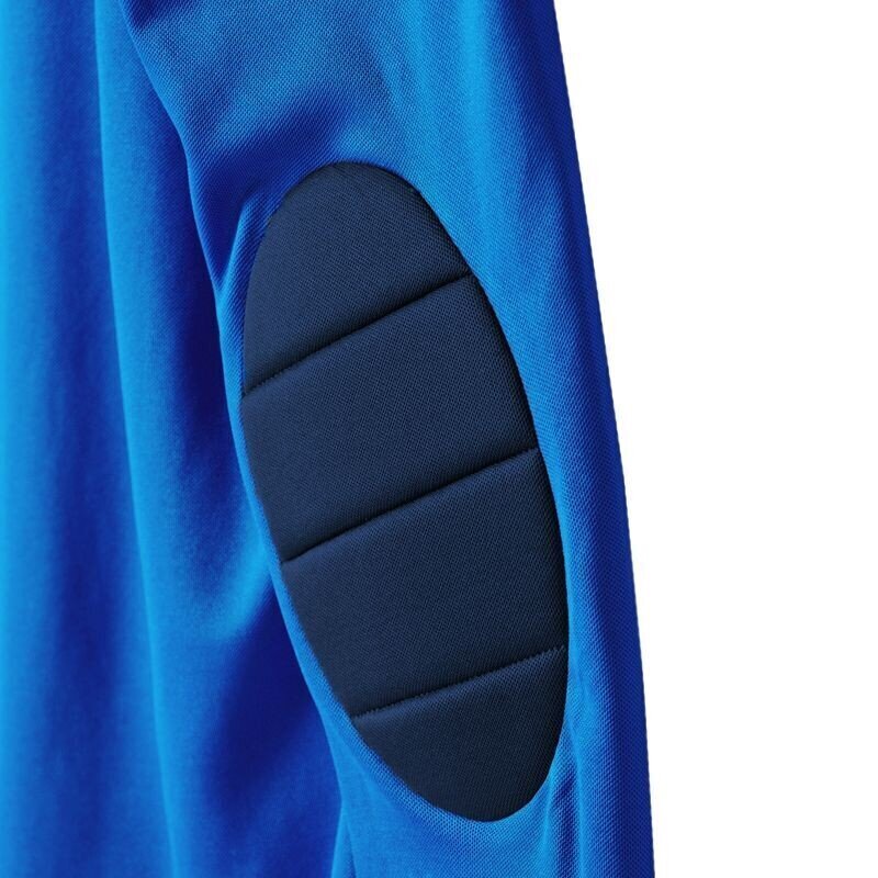 Džemperis zēniem Adidas Assita 17 Jr AZ5404, zils цена и информация | Zēnu jakas, džemperi, žaketes, vestes | 220.lv