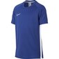 Vīriešu sporta T-krekls Nike B Dry Academy SS Junior AO0739-480, zils cena un informācija | Sporta apģērbs vīriešiem | 220.lv