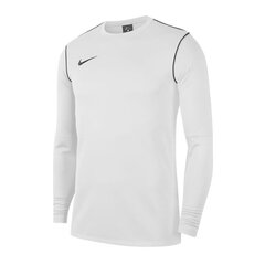 Свитер мужской Nike Park 20 Crew M BV6875-100, 54388 цена и информация | Мужские толстовки | 220.lv