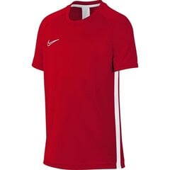 Bērnu sporta T-krekls Nike B Dry Academy SS Junior AO0739- 657 (46441) цена и информация | Рубашки для мальчиков | 220.lv