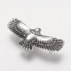 Nerūsējošā tērauda 316 savienojumi "Eagle" 23x46,5x3 mm, 1 gab. цена и информация | Принадлежности для изготовления украшений, бисероплетения | 220.lv