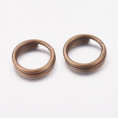 Dubultais gredzens, bez niķeļa 6 mm, 20 gab. cena un informācija | Rotu veidošana, pērļošana | 220.lv