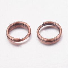 Dubultais gredzens, bez niķeļa, 6 mm, 20 gab. cena un informācija | Rotu veidošana, pērļošana | 220.lv