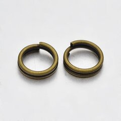 Dubultais gredzens 6 mm, 20 gab. cena un informācija | Rotu veidošana, pērļošana | 220.lv