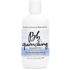 Bb Quenching atjaunojošs šampūns, 250 ml цена и информация | Шампуни | 220.lv