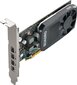 PNY Technologies VCQP620DVIV2-PB цена и информация | Videokartes (GPU) | 220.lv