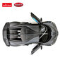 Radiovadāms automodelis Rastar 1:14 Bugatti Divo, 98000 цена и информация | Rotaļlietas zēniem | 220.lv