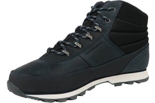 Apavi vīriešiem Helly Hansen Woodlands 10823-598, zili цена и информация | Мужские ботинки | 220.lv