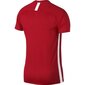 Sporta T-krekls vīriešiem Nike Dry Academy SS M AJ9996- 657 (46401) cena un informācija | Sporta apģērbs vīriešiem | 220.lv
