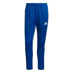 Спортивные штаны мужские Adidas Tiro 21 Training M GJ9870, синие цена и информация | Мужская спортивная одежда | 220.lv