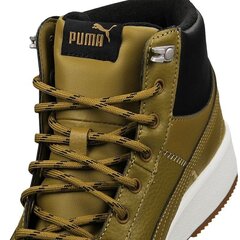 Мужские кеды Puma Tarrenz SB Puretex M 370552-02 (56956) цена и информация | Кроссовки для мужчин | 220.lv