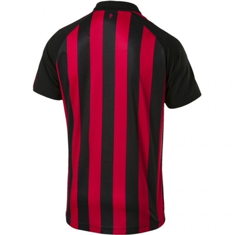 Sporta T-krekls vīriešiem Puma AC Milan Home SS M 754419 06, sarkans cena un informācija | Sporta apģērbs vīriešiem | 220.lv