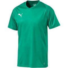 Спортивная футболка мужская Puma Liga Core M 703509 05, 46881 цена и информация | Мужская спортивная одежда | 220.lv