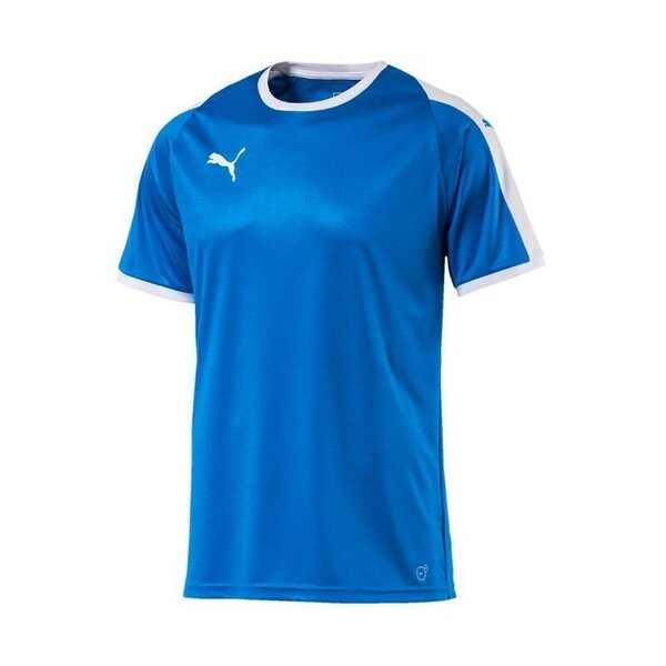 Спортивная футболка мужская Puma LIGA M 703417 02 цена | 220.lv