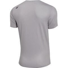 Vīriešu sporta T-krekls 4F M H4'19 TSMF001 25S cena un informācija | Sporta apģērbs vīriešiem | 220.lv