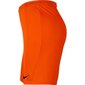 Sporta šorti vīriešiem Nike Dry Park III NB KM BV6855 819 ( 51727) cena un informācija | Sporta apģērbs vīriešiem | 220.lv