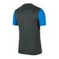 Sporta T-krekls vīriešiem Nike Academy Pro Top SS M BV6926-075 51879, zils cena un informācija | Sporta apģērbs vīriešiem | 220.lv