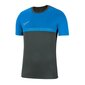 Sporta T-krekls vīriešiem Nike Academy Pro Top SS M BV6926-075 51879, zils цена и информация | Sporta apģērbs vīriešiem | 220.lv