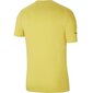 Sporta T-krekls vīriešiem Nike Park M CZ0881-719, dzeltens цена и информация | Sporta apģērbs vīriešiem | 220.lv