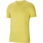 Sporta T-krekls vīriešiem Nike Park M CZ0881-719, dzeltens цена и информация | Sporta apģērbs vīriešiem | 220.lv