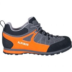 Походные сапоги мужские Alpinus The Ridge Low Pro GR43298 76389 цена и информация | Мужские ботинки | 220.lv