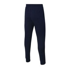 Спортивные штаны детские Nike Park 20 Fleece Jr CW6909-451, синие цена и информация | Штаны для мальчика ABN-2894/CZA/098 | 220.lv