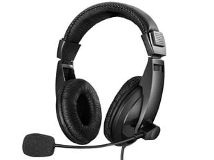 Sandber Saver USB Headset Large цена и информация | Наушники | 220.lv