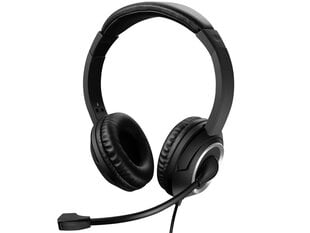 Sandberg 126-16 USB Chat Headset цена и информация | Наушники с микрофоном Asus H1 Wireless Чёрный | 220.lv