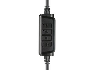 Sandberg 126-16 USB Chat Headset цена и информация | Наушники с микрофоном Asus H1 Wireless Чёрный | 220.lv